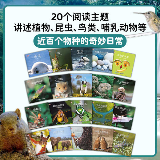 我的第一套自然认知书（新版大开本全20册） 商品图3