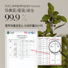 【神奇专享】绽家香氛护衣柔顺护衣喷雾200ml【限时活动，买2瓶装送中样110ml*1瓶，味道随机】 商品缩略图3
