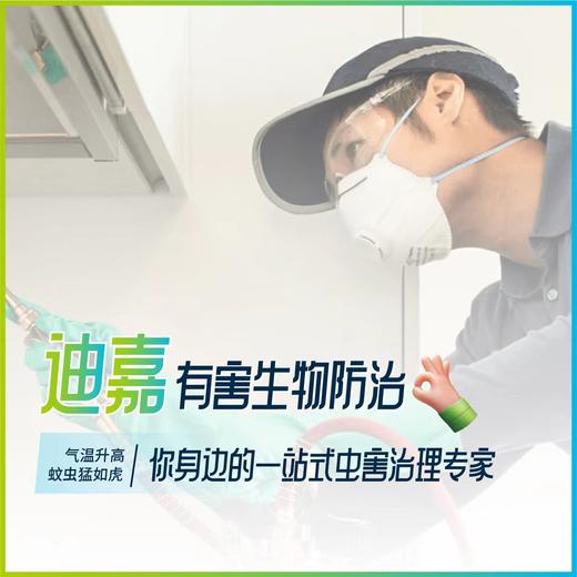 【业主专享】气温升高  蚊虫猛如虎  你身边的一站式虫害治理专家  下单占位，预约夏季蚊虫治理服务方案 商品图0