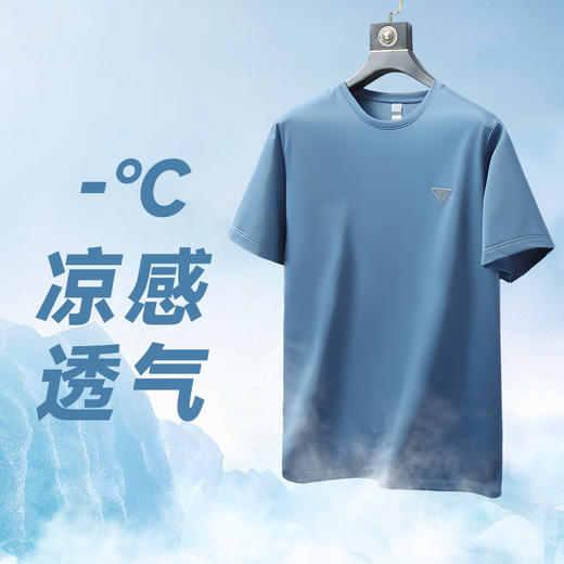 【新款DWN】大依优型大码男装桑蚕丝凉感圆领短袖T恤休闲运动加肥加大胖子穿大号打底半袖 商品图3