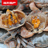 8007陆龙兄弟300g3A白玉蟹 商品缩略图1