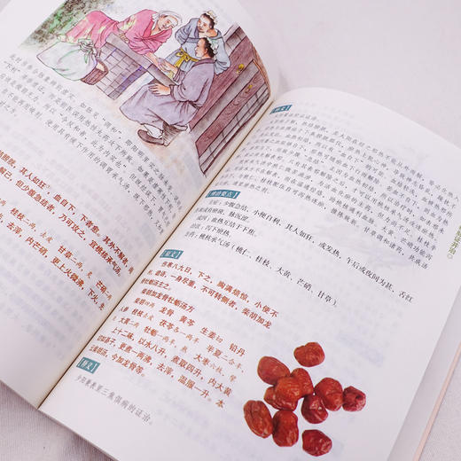 伤寒论 白话彩图典藏版 商品图4