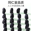 【正宗同仁堂品牌】北京同仁堂 桑椹干200g 手工采摘 精选无沙洁净即食SY 商品缩略图4