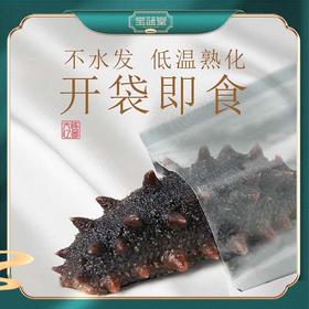 即食鲜海参500g