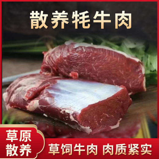 新鲜牦牛肉 新鲜宰杀 甘肃山丹军马场草原散养  邮政冷链空运包邮  非冻肉 商品图2