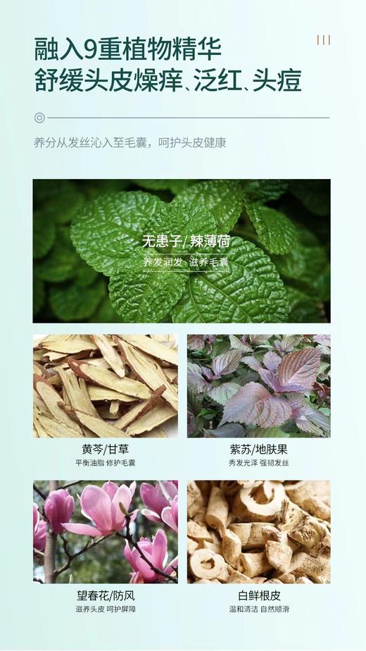 澳雪小黄姜控油去屑洗发水 商品图4