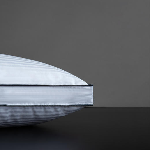 罗莱家纺全棉提花抗菌柔丝枕 商品图1