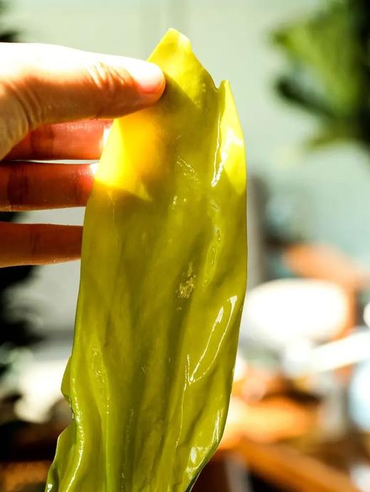 有机海带 40米深海自然成长的有机海带嫩芽和出口日本的深海海带 礼盒装 包邮 |百里食 商品图3