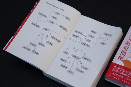 布鲁克林有棵树【定价69.8元 直播特价34.9元】 商品图3