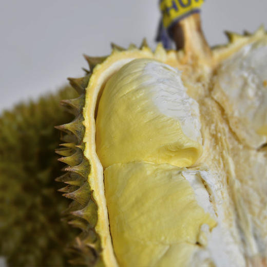 【整果销售】金猴泰国金枕榴莲 500g/份 商品图1