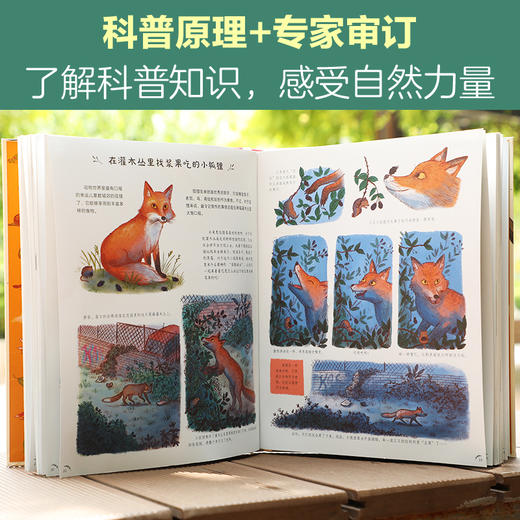 乐乐趣珍藏精装绘本-《当小脚慢下来》 商品图5