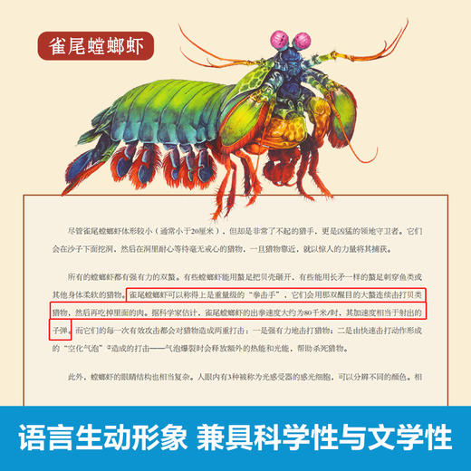 乐乐趣-奇迹博物馆 海洋博物馆 商品图7