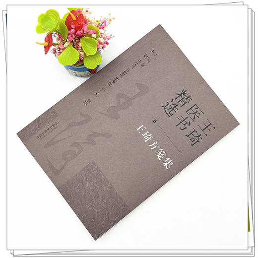王琦方笺集（6）王琦 著  王琦医书精选  中国中医药出版社 中医临床 书籍 商品图2