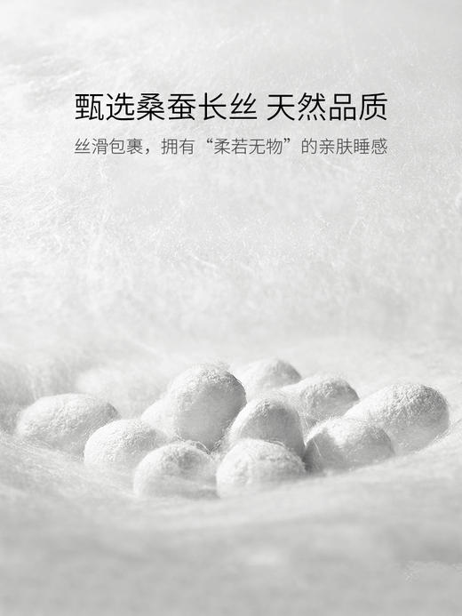 【ROYALCOVER】罗卡芙婴幼儿级空调被可水洗桑蚕丝夏被 维齐尔花园 商品图4