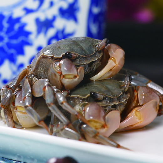8007陆龙兄弟300g3A白玉蟹 商品图3