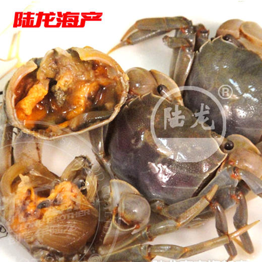 9006陆龙兄弟760gAA白玉蟹 商品图1