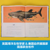 乐乐趣-奇迹博物馆 海洋博物馆 商品缩略图3