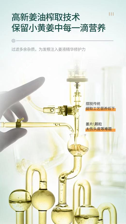 澳雪小黄姜控油去屑洗发水 商品图5