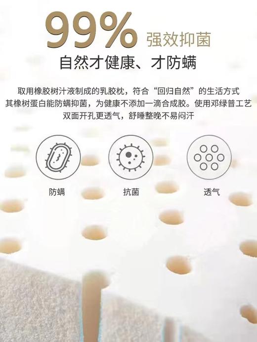 富丽岛家纺史努比儿童乳胶枕 商品图3