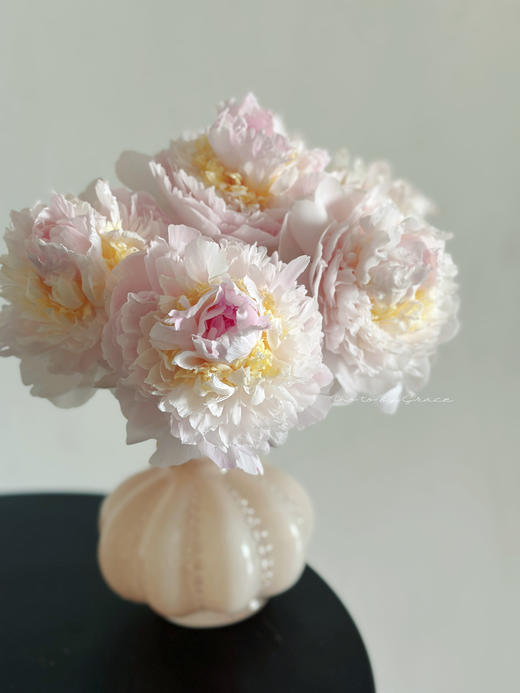 精品羞涩女王芍药花5支 商品图6