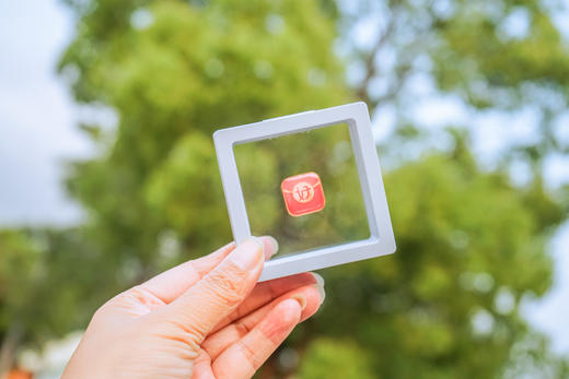 任太好运徽章｜会员专属 商品图1