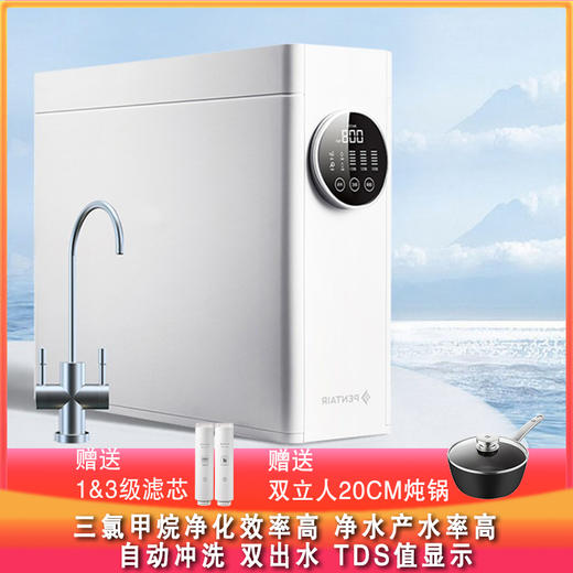 推荐优品一滨特尔净水器三氯甲烷净化效率高净水产水率高自动冲洗双出水 TDS值显示性价比高 商品图0