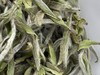 2023 极枞银针 天工·首日芽 （荒野老树白毫银针） 60来岁荒野老树 50克/500克 商品缩略图4