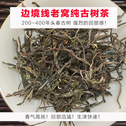 边境线老窝头春古树茶普洱茶生茶 商品图0