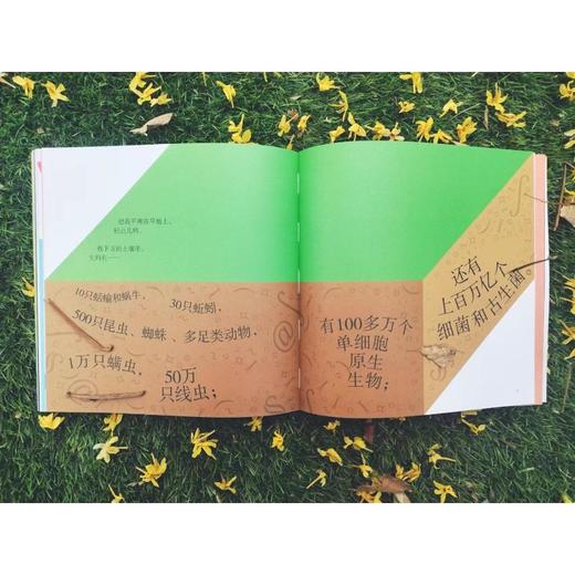 我是一本书,是通往宇宙的传送门 商品图1