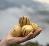 【云南石林树上熟的人参果】清甜补水  肉香皮薄  清甜多汁  无核化渣 营养低糖 商品缩略图7