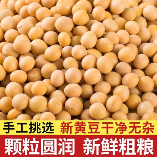 太粮唐顿农庄黄豆500g 商品图1