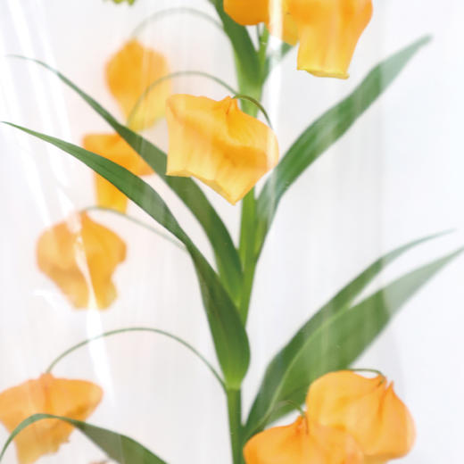 四月芳菲，水木清华。 商品图1