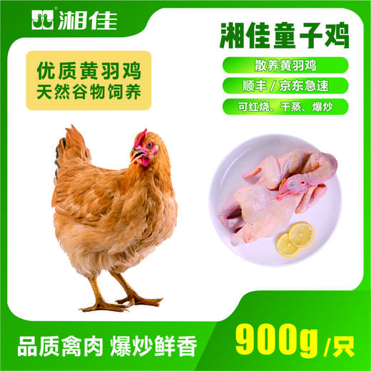 湘佳童子鸡900g/2只装 商品图0