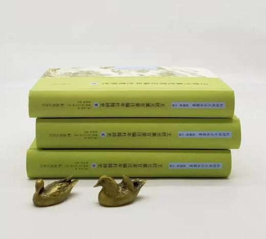 《王状元集百家注编年杜陵诗史》，精装，全三册，杜甫撰，旧题宋王十朋集注，曾祥波点校，凤凰出版社2022年12月一版一印，1626页，定价598元，售价418元，会员有优惠。 商品图1