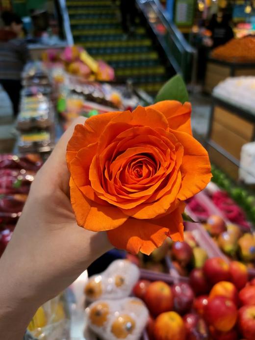 假日公主3支（拼团） 商品图2