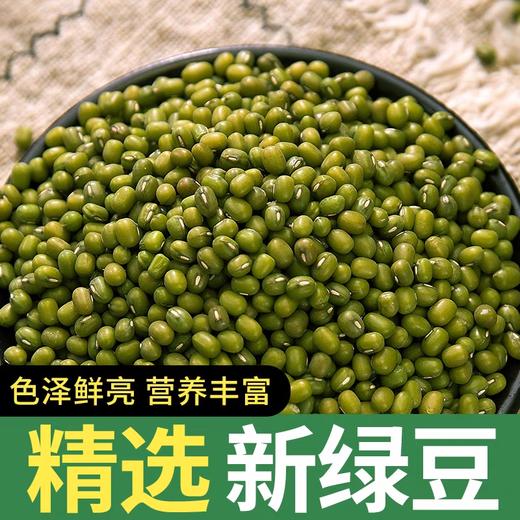 太粮唐顿农庄绿豆500g 商品图2