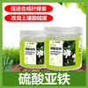 艾尚棵硫酸亚铁花用营养肥料专用肥铁肥颗粒水溶液酸性肥绿叶通用 商品缩略图1