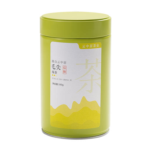 云中居 毛尖罐装100g 商品图0