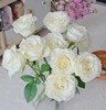 白玫瑰8支 商品缩略图0