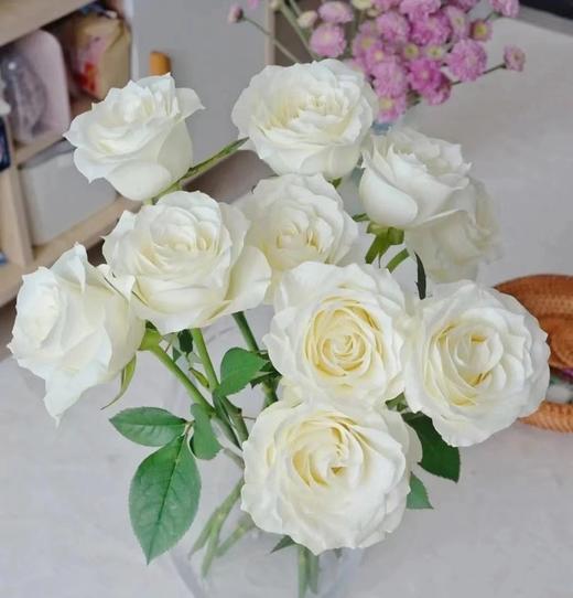 白玫瑰8支 商品图0