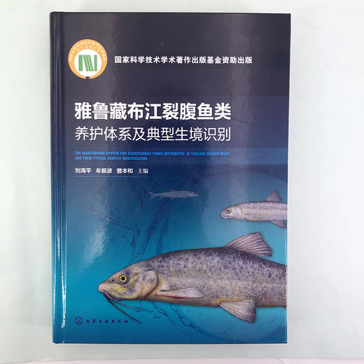 雅鲁藏布江裂腹鱼类养护体系及典型生境识别 商品图1