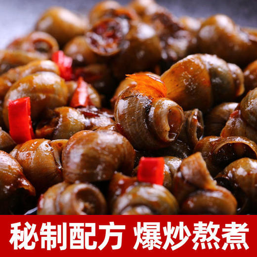 （2024.7.9到期）香辣田螺500g 商品图1