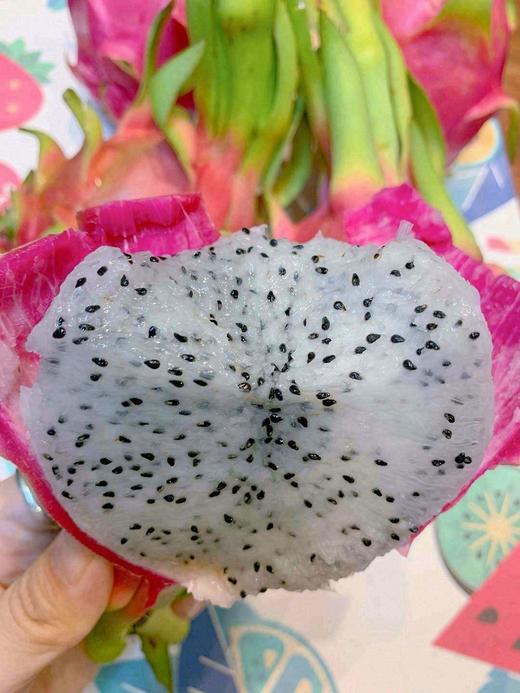 白心火龙果 大号单颗 商品图3