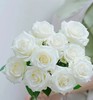 白玫瑰8支 商品缩略图1