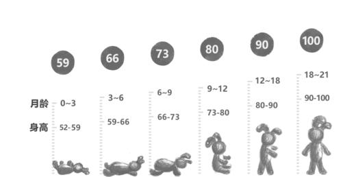 jnby  23年夏款  密实干爽短裤 YN5E11610 商品图2