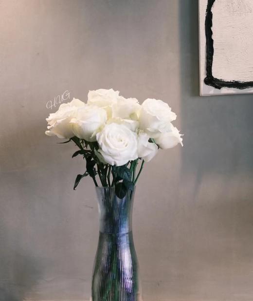 白玫瑰8支 商品图3