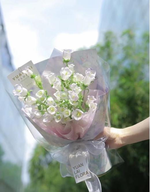 白风铃花2支（拼团） 商品图2