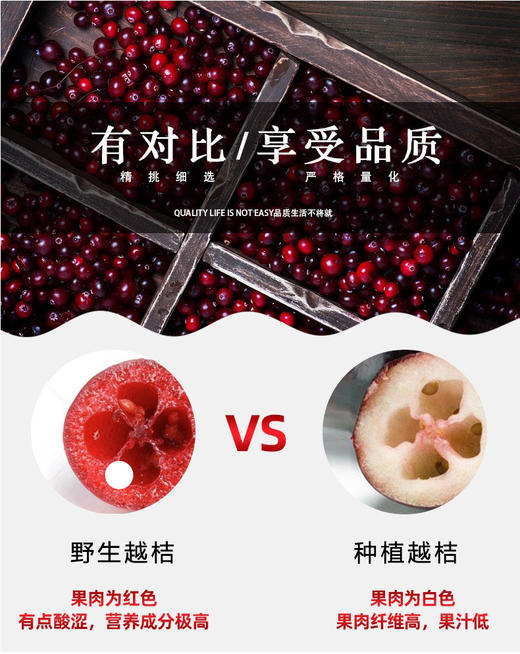 乐芭迪大兴安岭野生越桔花青素 蔓越莓原浆浓缩汁 孕妇儿童口服液 商品图2