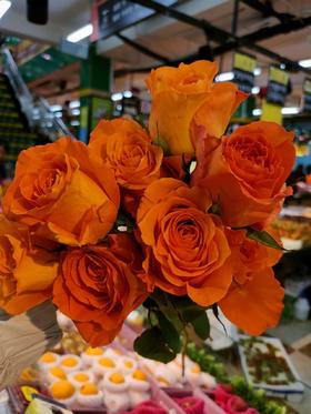 假日公主3支（拼团）