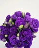 紫色洋桔梗 一支（拼团） 商品缩略图2
